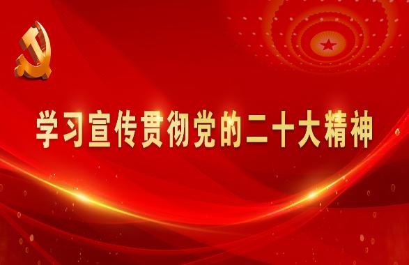 學(xué)習(xí)宣傳貫徹黨的二十大精神