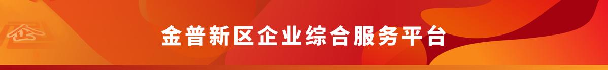 金普新區(qū)企業(yè)綜合服務(wù)平臺(tái)