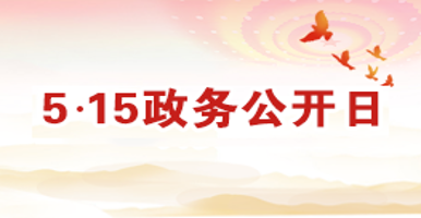 金普新區(qū)第十九屆5·15政務(wù)公開日