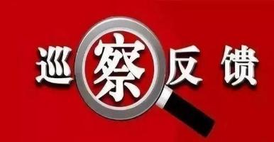 巡察進(jìn)駐、反饋與整改